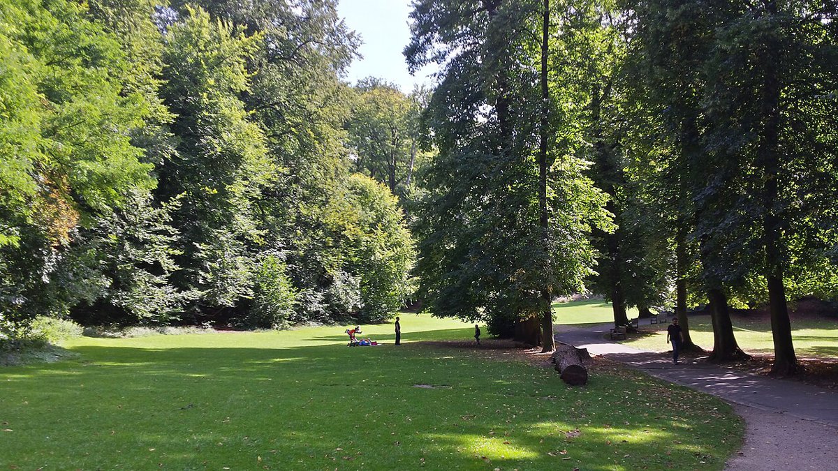 Une pelouse bordée de grands arbres dans le parc Duden, à Forest.